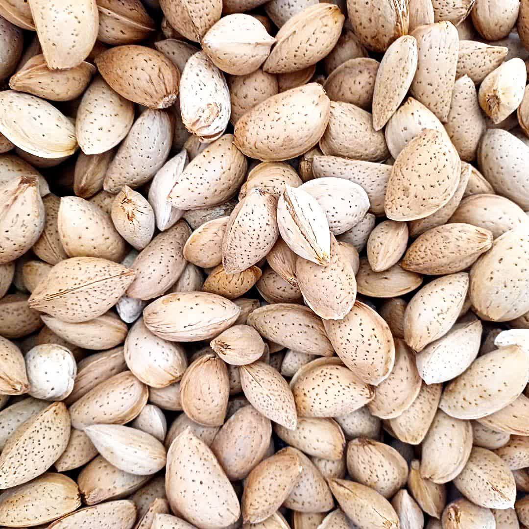 فروش بادام شاهرودی رقم 7 و 8 + قیمت عمده